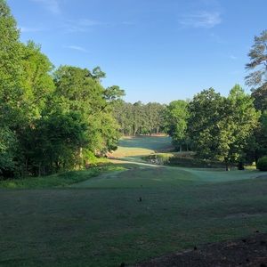 Meet your Posher, Caroline